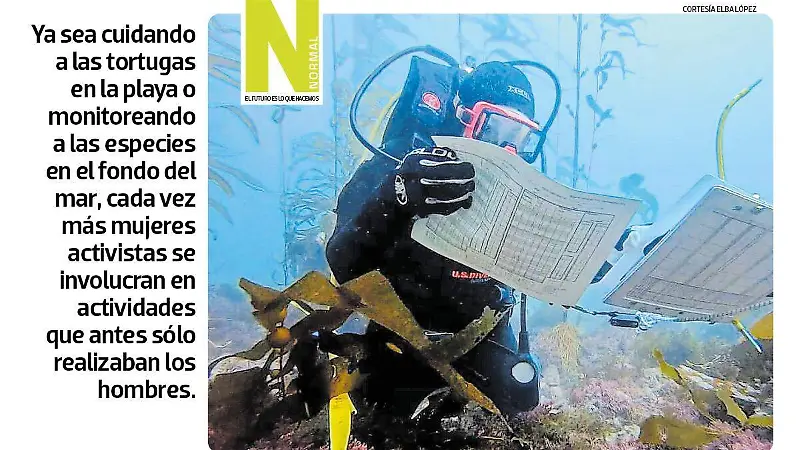 guardianas SITIO2